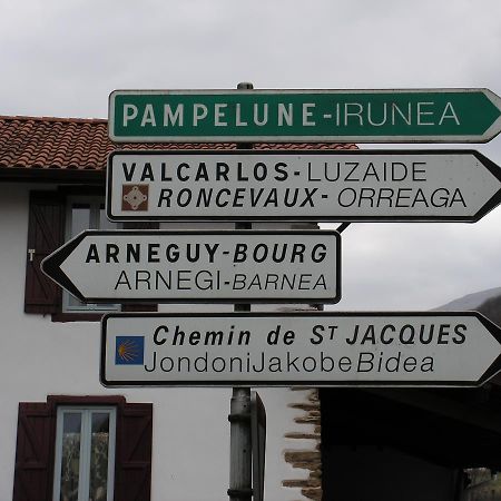 Hotel Le Clementenia Arneguy Экстерьер фото